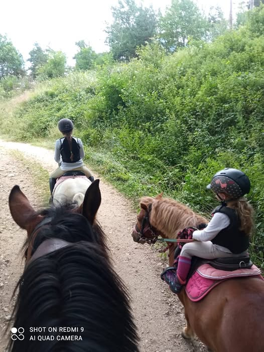 Balade équestre en forêt avec deux cavalières